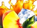 Illustrations for Beverage Packages Bottles Cans Boxes