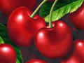 Illustrations for Food Fruit Juice Vegetable Packages Bottles Cans Boxes