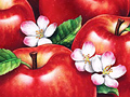 Illustrations for Food Fruit Juice Vegetable Packages Bottles Cans Boxes