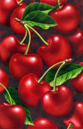 Lori Anzalone Illustration - Food Illustrator of cherry, cherries