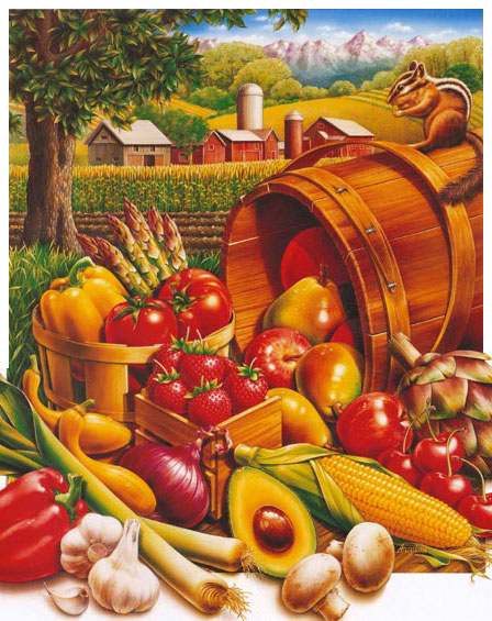 Lori Anzalone Illustration - Food Illustrator of farm animals and vegetables