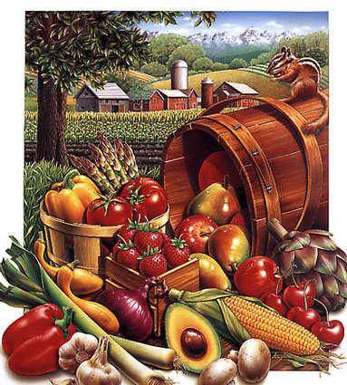 Lori Anzalone Illustration - Farm Fresh