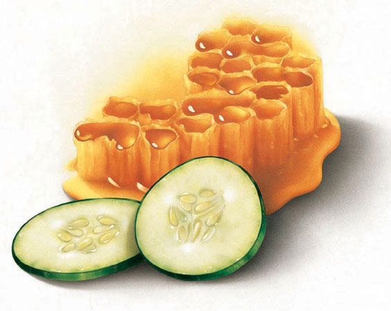 Lori Anzalone Illustration - Food Illustrator of Honey and cut cucumbers
