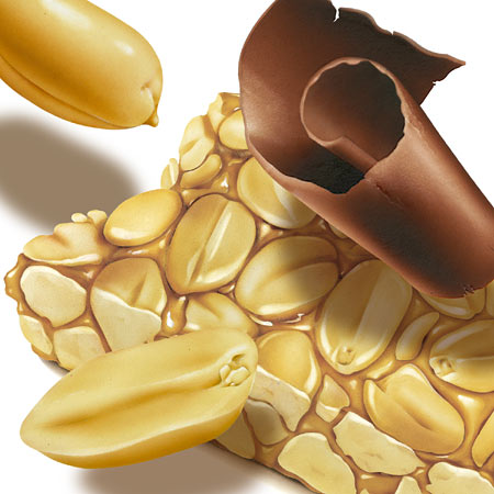 Lori Anzalone Illustration - Food Illustrator of Nut bar, peanuts and chocolate curl