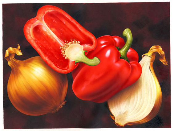 Lori Anzalone Illustration - Food Illustrator of onions and peppers