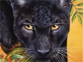 Nature Illustration of black panther in jungle