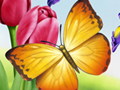 Nature Illustration of Butterflies and Flowers