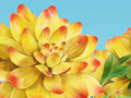 Nature Illustration of dahlia flower available for stock usage