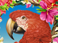 Nature Illustration of toucan tropical birds in jungle
