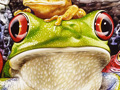 Nature Illustration of poisonous frogs in a stack