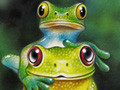 Nature Illustration of frogs stacked tall height order