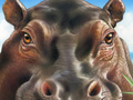 Nature Illustration of hippopotumus in water jungle