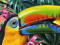 Nature Illustration of toucan bird in jungle flower scene