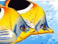 Nature Illustration of scene of underwater sea creatures and fish