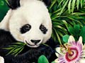 Nature Illustration of Panda in Forest with Pink Flower