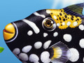 Nature Illustration of polka dot fish underwater ocean scence illustrated