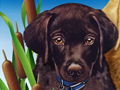 Nature Illustration of two puppies with cattails