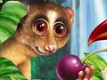 Nature Illustration of group of rain forest animal friends