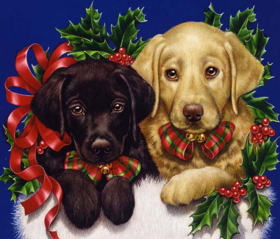 Lori Anzalone Illustration - Nature Illustrator of cute puppies christmas present