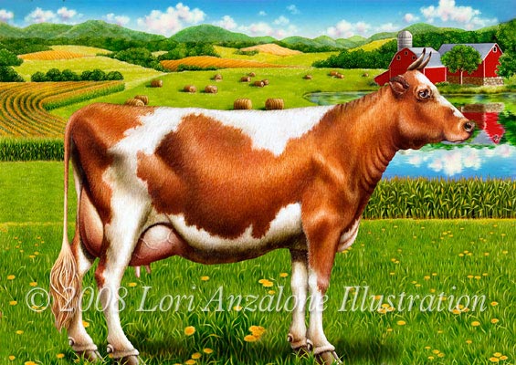 Lori Anzalone Illustration - Nature Illustrator of cow on farm with hay bales, pond, red barn, corn rows