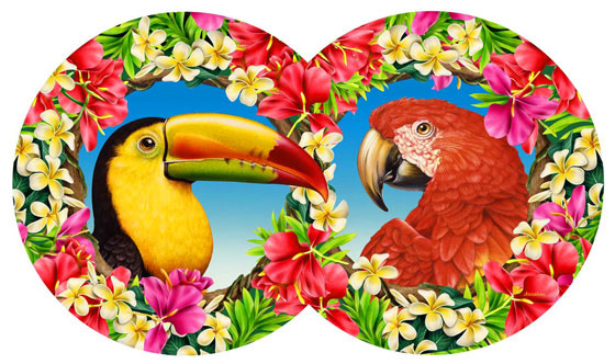 Lori Anzalone Illustration - Nature Illustrator of toucan tropical birds in jungle
