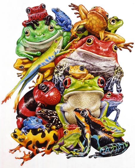 Lori Anzalone Illustration - Nature Illustrator of poisonous frogs in a stack