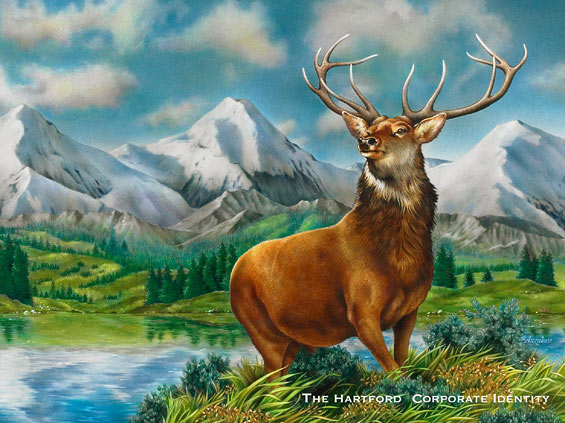 Lori Anzalone Illustration - Nature Illustrator of Harford Stag Corporate Identity