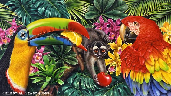 Lori Anzalone Illustration - Nature Illustrator of toucan bird in jungle flower scene