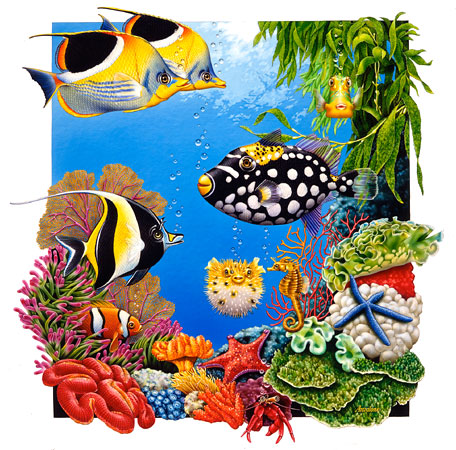 Lori Anzalone Illustration - Nature Illustrator of Fun Ocean character fish