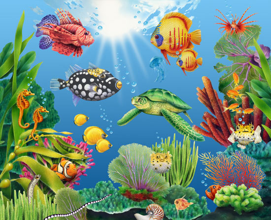 Lori Anzalone Illustration - Nature Illustrator of Fish and creatures in Ocean