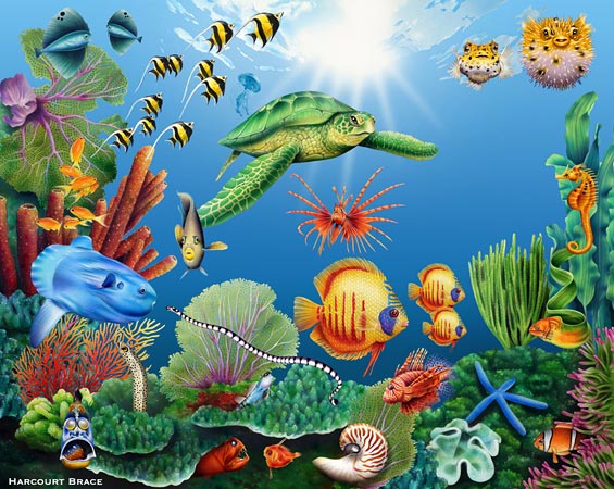 Lori Anzalone Illustration - Nature Illustrator of Sea Turtle Reef