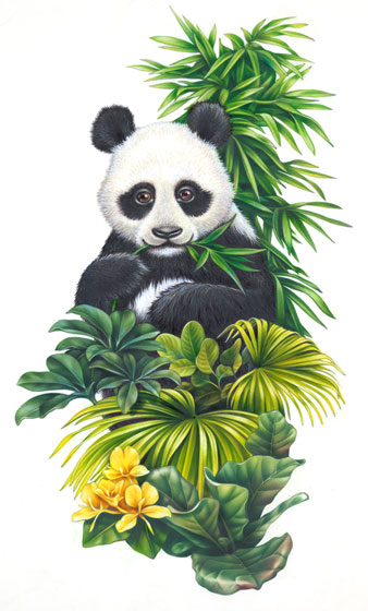 Lori Anzalone Illustration - Nature Illustrator of panda eating bambo