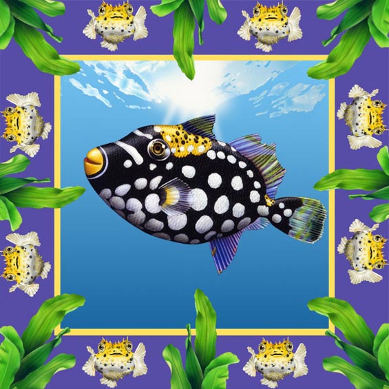 Lori Anzalone Illustration - Nature Illustrator of Polka Dot Fish