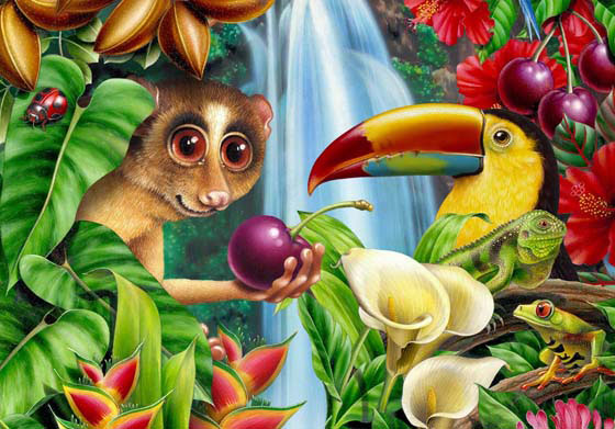 Lori Anzalone Illustration - Nature Illustrator of Rainforest Cherry 180-piece puzzle