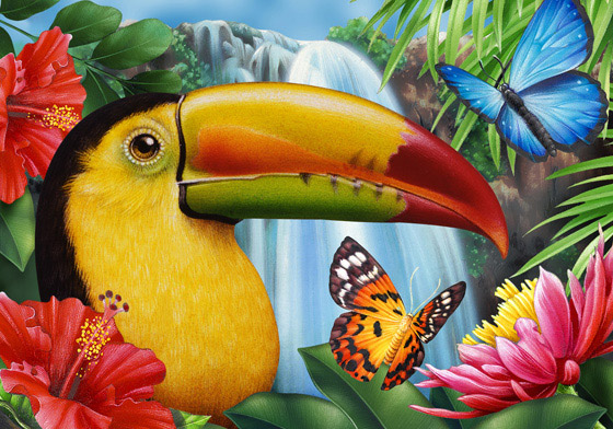 jungle bird clipart - photo #50