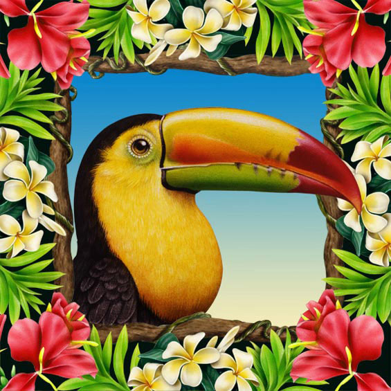 Lori Anzalone Illustration - Nature Illustrator of Toucan & Waterfall