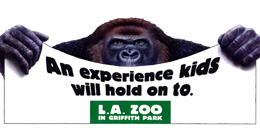 Gorilla 
