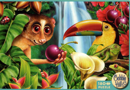 Rainforest Friends Monkey & Toucan
