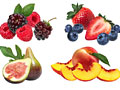 Illustrations for Food Fruit Juice Vegetable Packages Bottles Cans Boxes