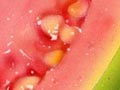 photo-based illustration for food and products