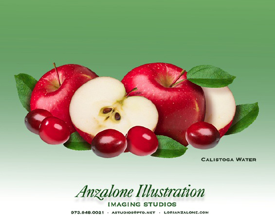 Lori Anzalone Illustration - Photo Based Illustrator of Apples, grapes, peaches, raspberries, strawberries, blueberries, cranberries, apple