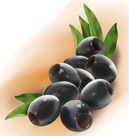 Lori Anzalone Illustration - Photo Based Illustrator of Green and Black Olives