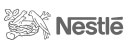 Nestle Chocolate Candy Bar