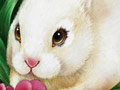 Illustrations for Products Packages Packaging Containers Bottles Cans Boxes