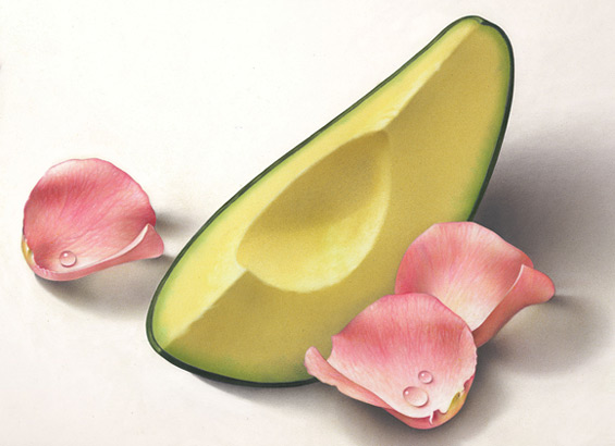 Lori Anzalone Illustration - Product Illustrator of avocado half & rose petals