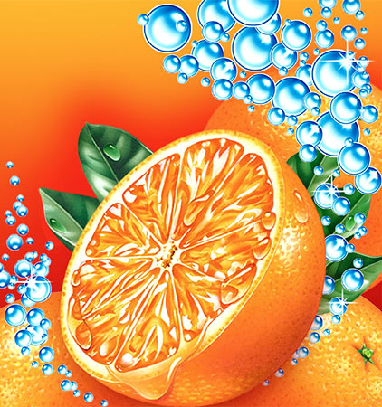 Lori Anzalone Illustration - Product Illustrator of Household Cleaner
