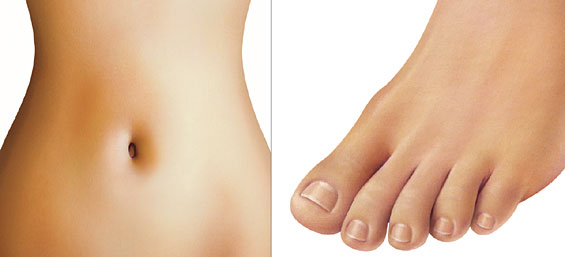 Lori Anzalone Illustration - Product Illustrator of carton fruit illustrator for product package